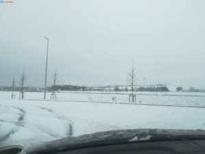 Schneelandschaft
