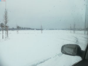 Schneelandschaft