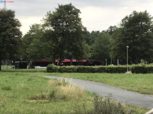 Tram, Wiese