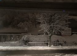 IMG_0759