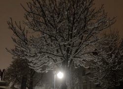 IMG_0762