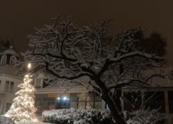 IMG_0763