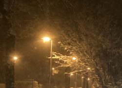 IMG_0766