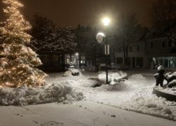 IMG_0769
