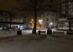 IMG_0771